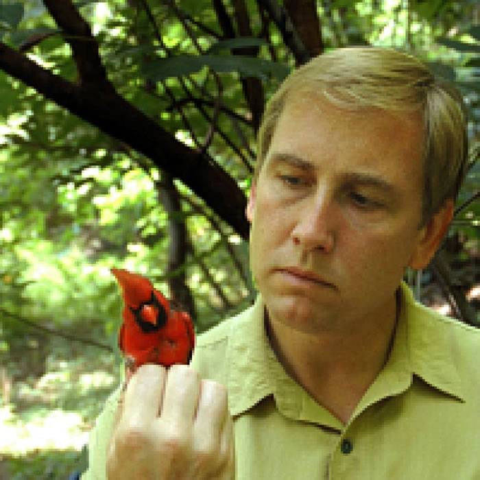 ������ͼ��ָ������һ���������ǰ�����è�˵�����