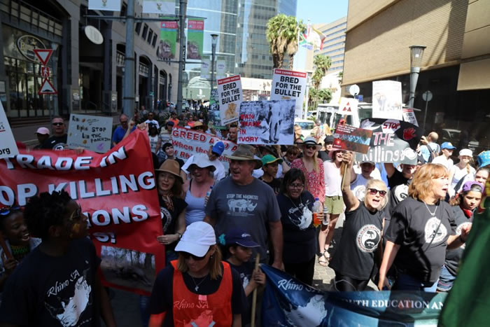 野生动物保护者在约翰内斯堡街头游行。