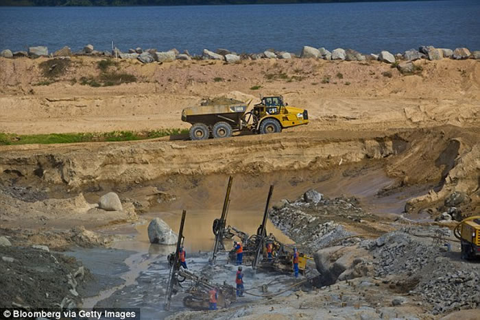 巴西工地爆破工程后发现重400公斤超级大森蚺 可能打破世界纪录