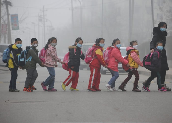 ��ɽ��ʡ�����У����ſ��ֵĶ�ͯ����ʦ�����¹���·��