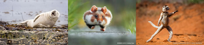 ӰʦPaul Joynson-HicksġЦҰӰĬǳ