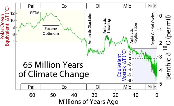 5600万年前大型陨星碰撞地球促使最早的灵长类动物进化形成