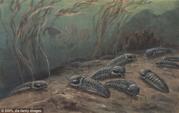 �����о�����2.52����ǰ���ִ�����¼�ʵ�ʽ�����81%�����������