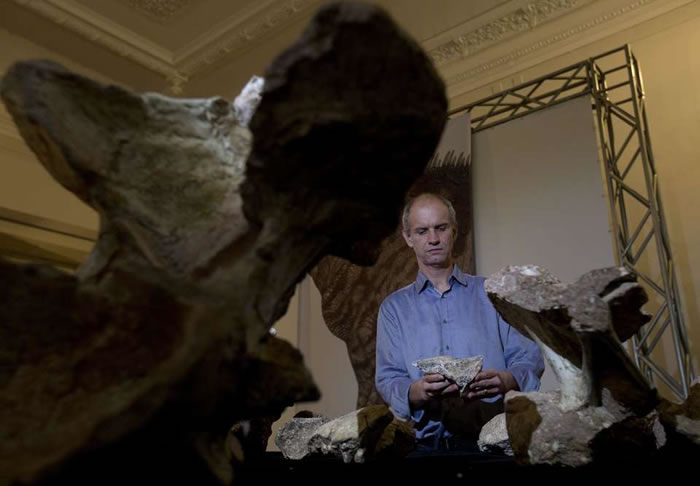 巴西最大恐龙化石Austroposeidon magnificus发现逾60年后首度公开展示