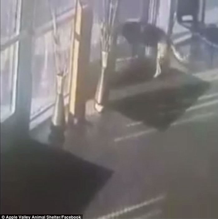 �������ݵ¹�����Ȯ�ǹҾ����� ����ʹ򿪱ӻ����Ĵ��š�Խ����