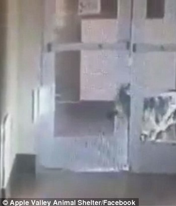 �������ݵ¹�����Ȯ�ǹҾ����� ����ʹ򿪱ӻ����Ĵ��š�Խ����