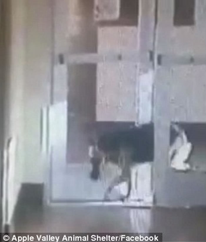 �������ݵ¹�����Ȯ�ǹҾ����� ����ʹ򿪱ӻ����Ĵ��š�Խ����