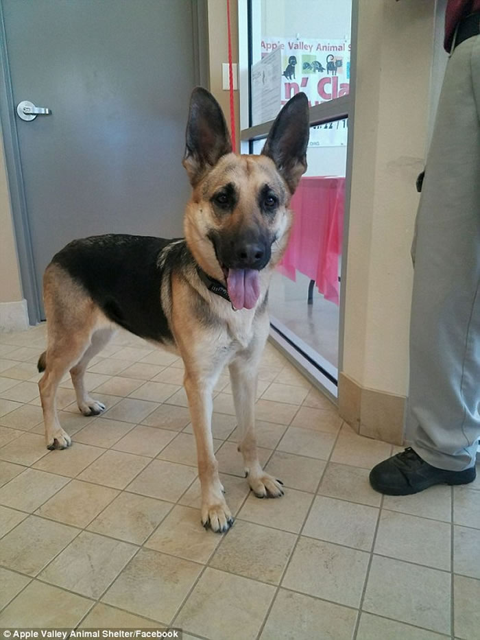 �������ݵ¹�����Ȯ�ǹҾ����� ����ʹ򿪱ӻ����Ĵ��š�Խ����