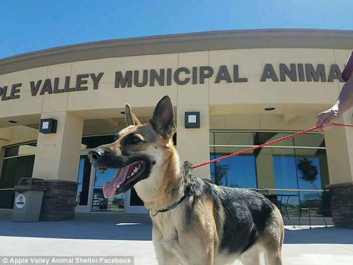 �������ݵ¹�����Ȯ�ǹҾ����� ����ʹ򿪱ӻ����Ĵ��š�Խ����