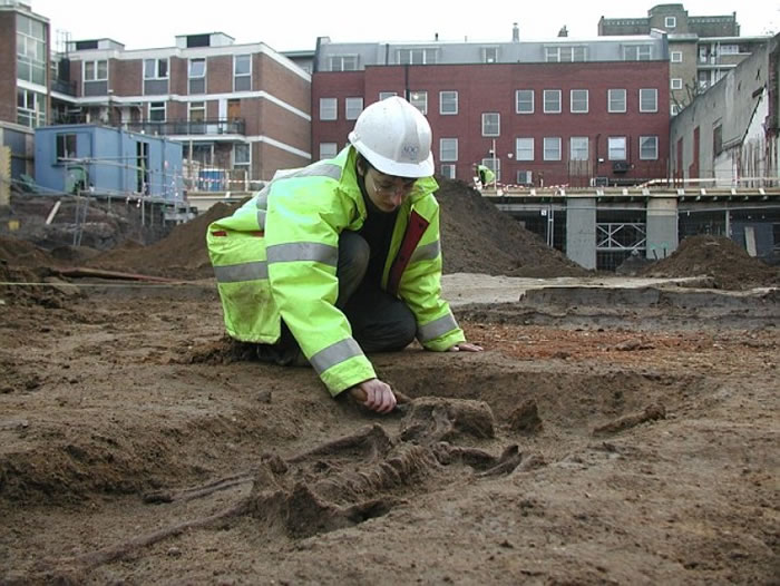 ����ѧ�Ҵ�ɨ���ǡ�