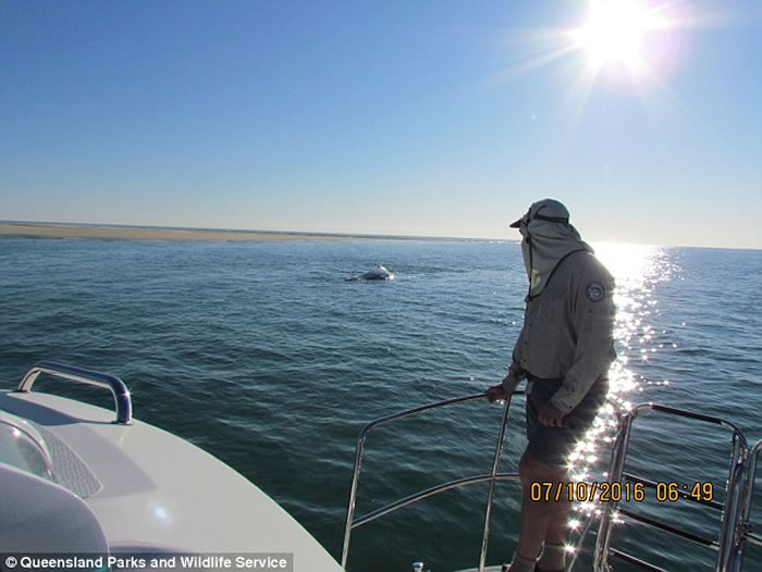 ���޲���˹��ĸ��ͷ��������ǳ��̲ �׾�������ͼ����