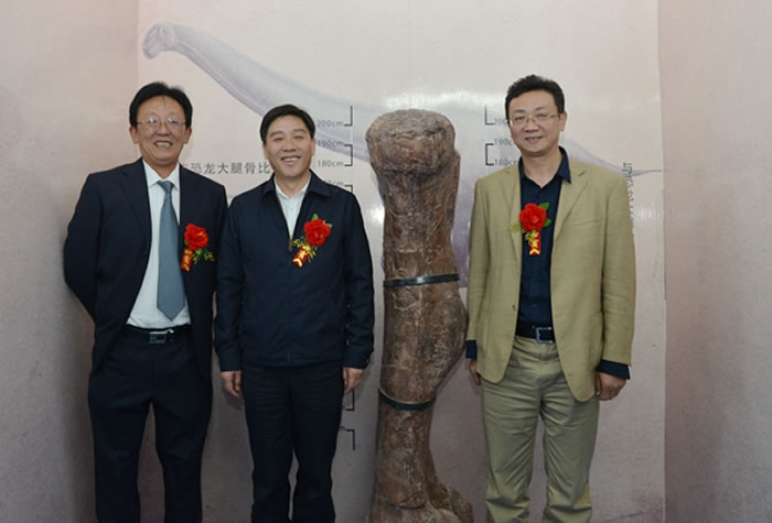 ����ũҵ��ѧ���йż�׵�����о��������ߡ�ʢ��ͮ������������ʽ