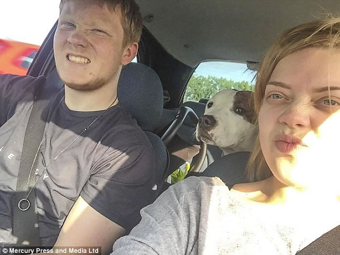 Ӣ������ѵ������Ȯ����ǽ���������¼