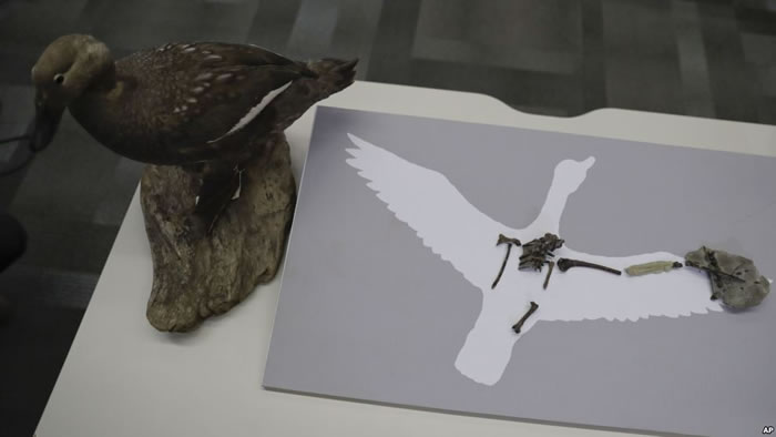 ෢٣ϼ޷6800ǰάܻʯк