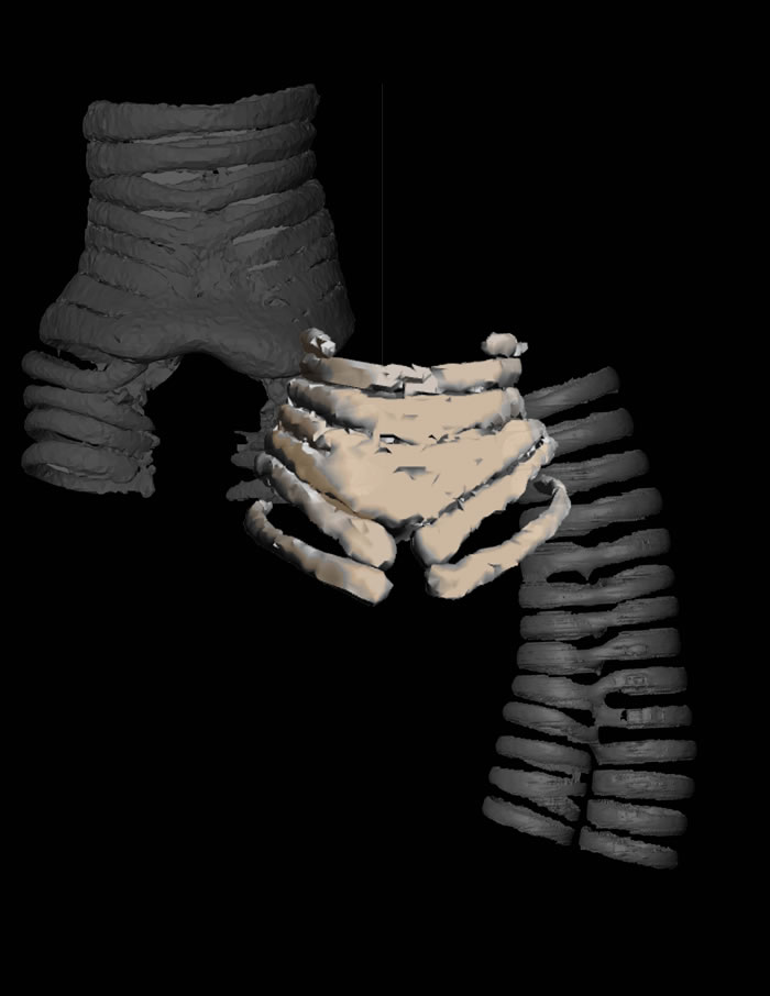 ෢٣ϼ޷6800ǰάܻʯк