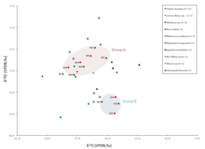 岜仙洞动物群同位素数据散点图(马姣和王元提供)