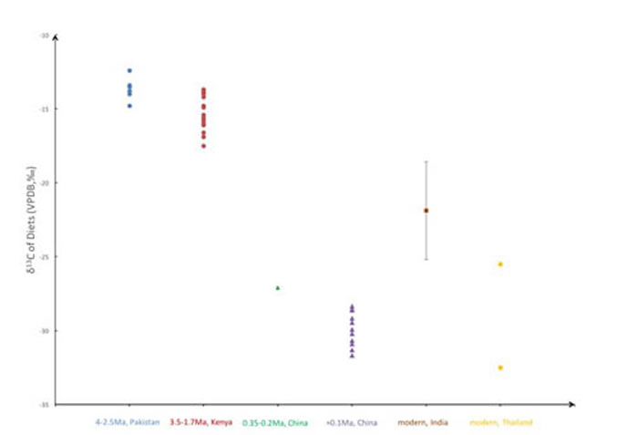 进化过程中亚洲象碳同位素数据汇总图(马姣和王元提供)