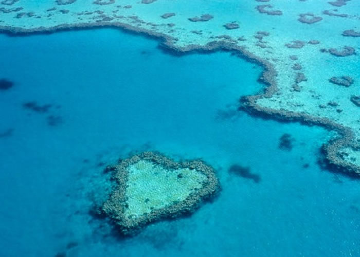 雅各布森指大堡礁已经死亡。