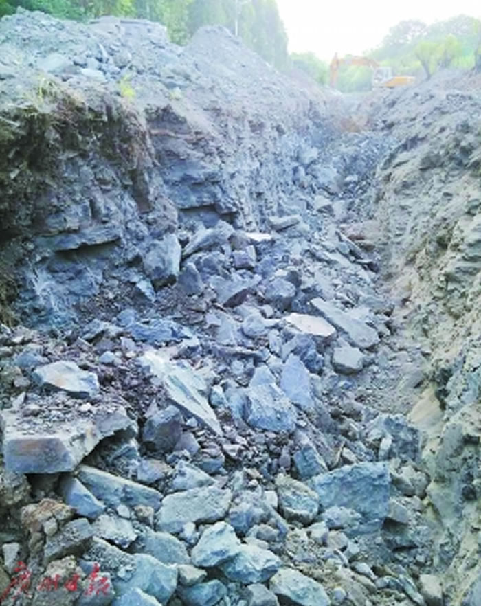 长牙齿化石发现的地方。