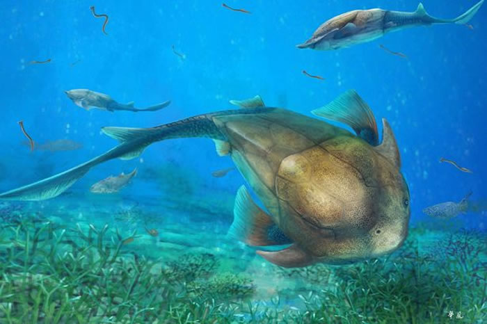 й㡱ʯʾǿ׷ݵ4ǰһȫƤ