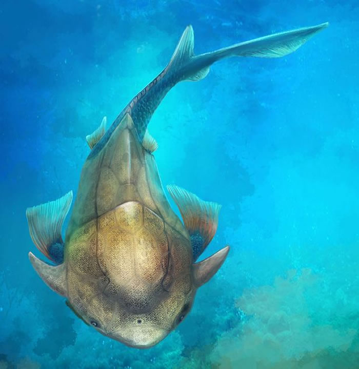 й㡱ʯʾǿ׷ݵ4ǰһȫƤ