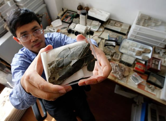 й㡱ʯʾǿ׷ݵ4ǰһȫƤ