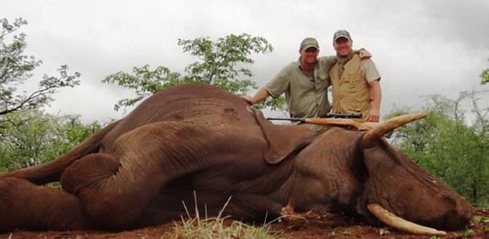 ������������Pascal Olmeta��ɱ��Ͳ�Τ������������