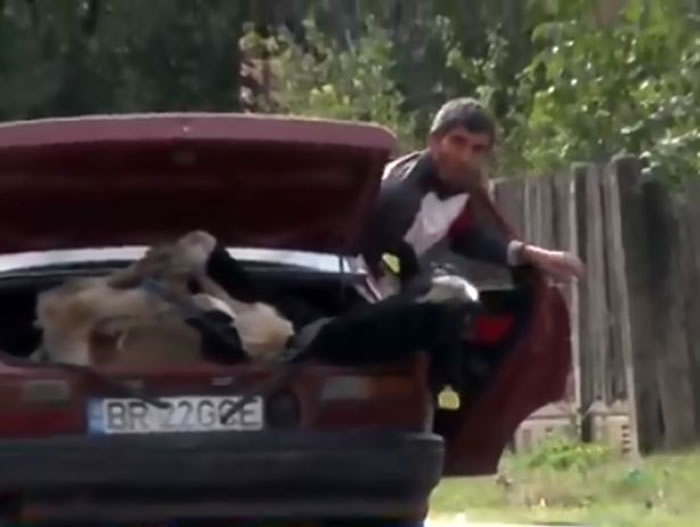 ��������ũ������������ֻţ��������β������