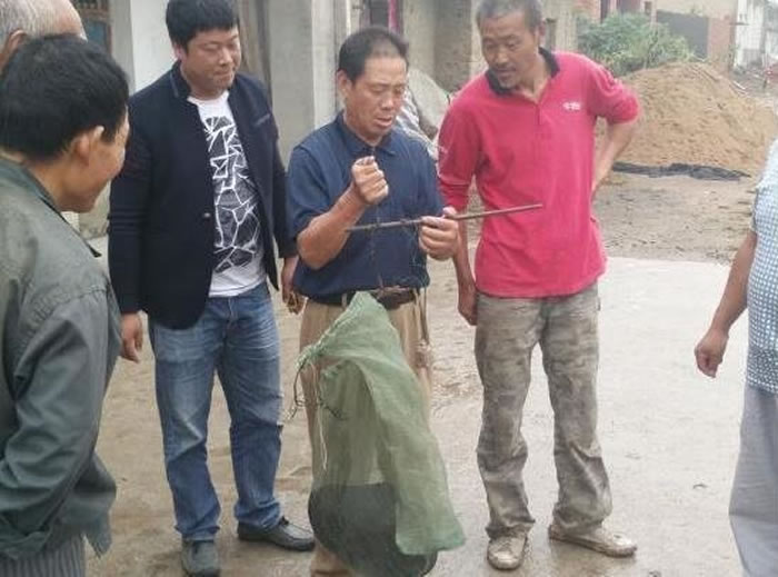 ����ʡӦ���⼯�������������̽�̵�һֻ������Ӱ������ۣ�