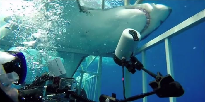 �Һ����������Ӵ�δ����ȫ������С�