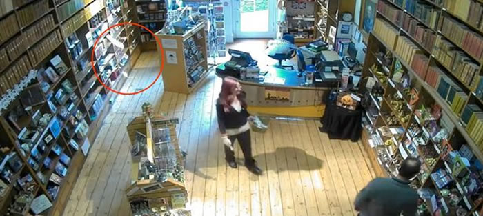 Ӣ�����Ŀ��л�������ֹ� ����ϵ��������Լ�������