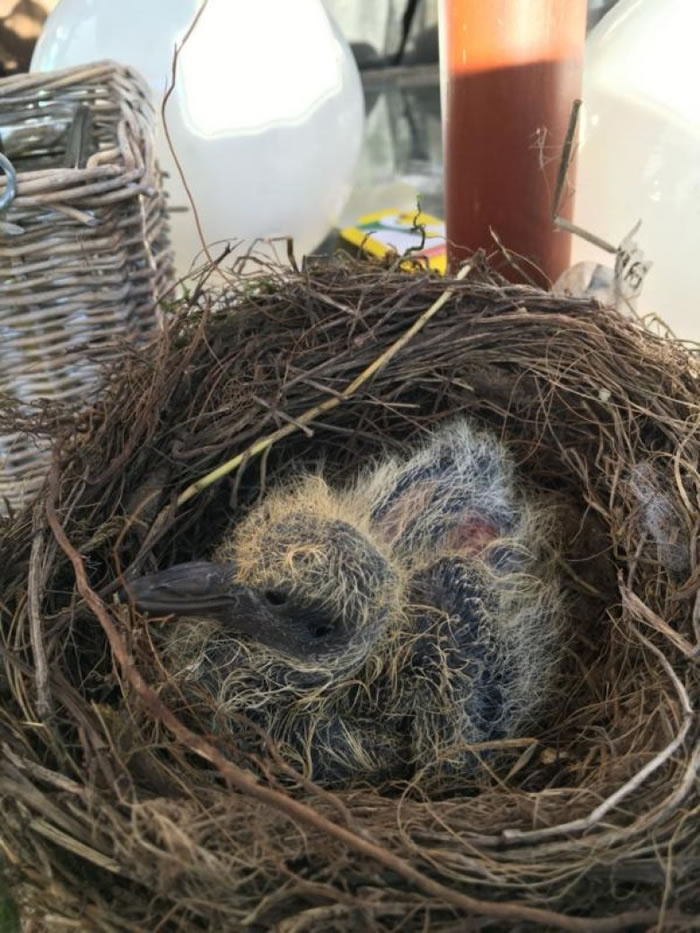 �������������ˡ�