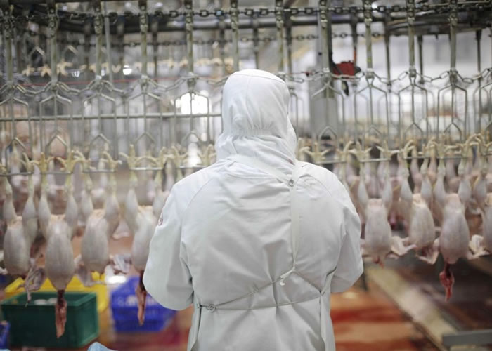 оָؽѧ߲֪ɼʱʹࡣ