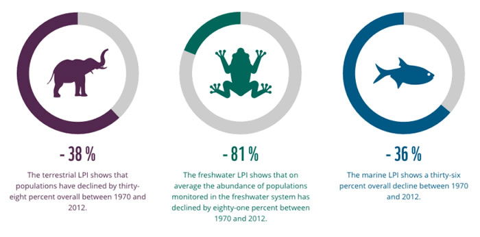 全球野生动物数量因为受到人类相关活动影响而大减