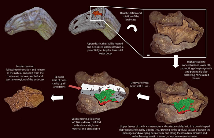 Ӣ���ϲ���̲����1.3����ǰ���Ѽ����ڿ���ͷ������֯��ʯ