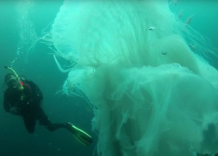 ǱˮԱīǶˮϺо޴ˮĸ