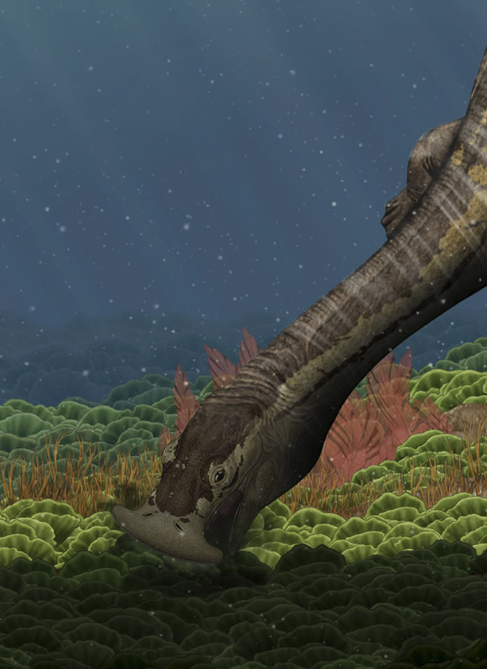 中国“奇异滤齿龙”入选PLoS2016年度“十大古脊椎动物发现”