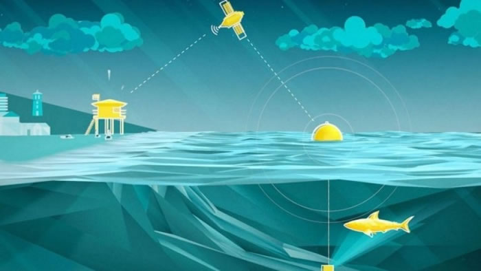系统采用声纳定位技术,侦测鲨鱼的游泳模式,再把数据传送至沙滩管理部门。图为系统运作构想图。