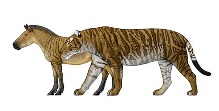 ֽݻҪƽֺͶԱȣ褻棩