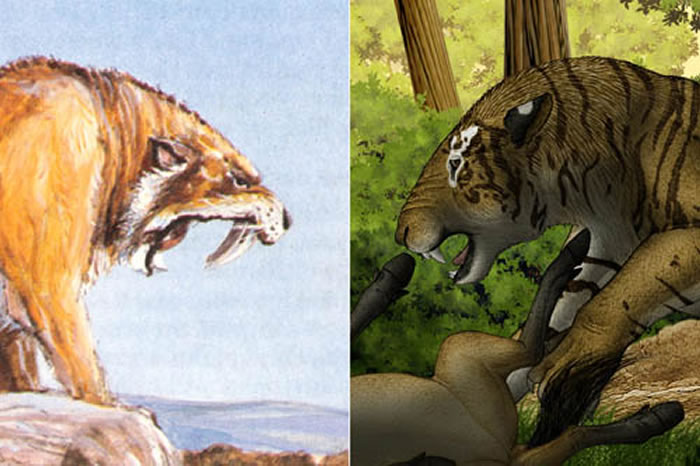 ֽݻгݻMichael Long棩ڲ̶ȵĶԱ ιͼ