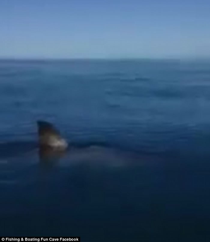 ������������ʹ�����ν�����СͧתȦ