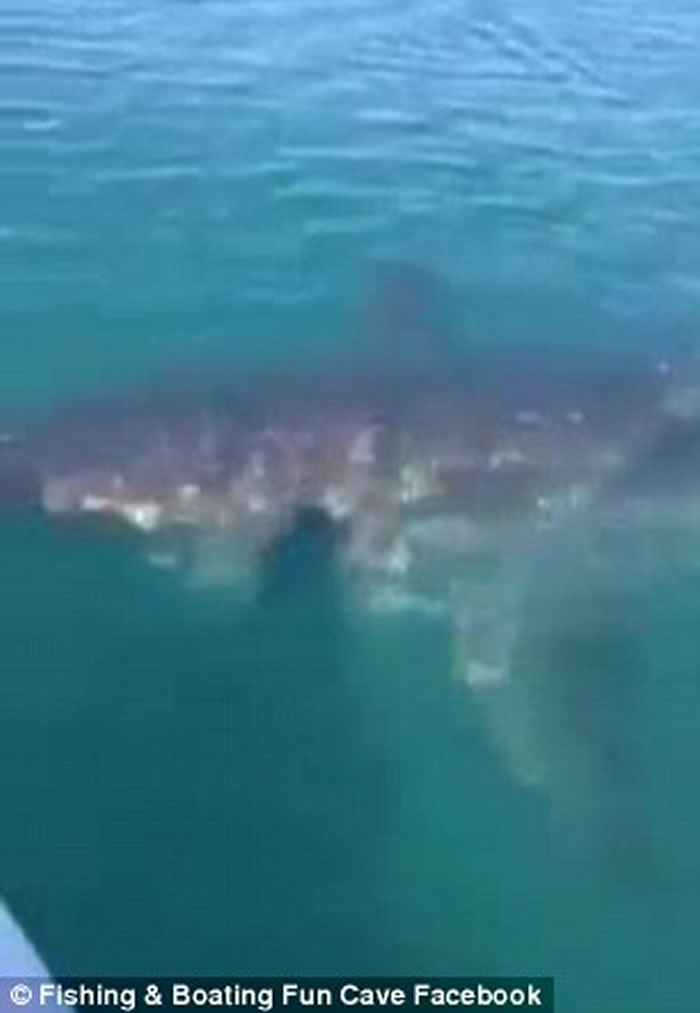 ������������ʹ�����ν�����СͧתȦ