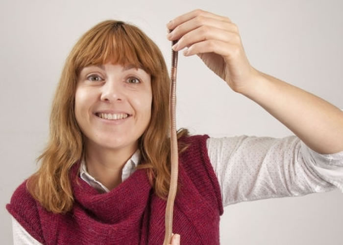 �����չʾ����������