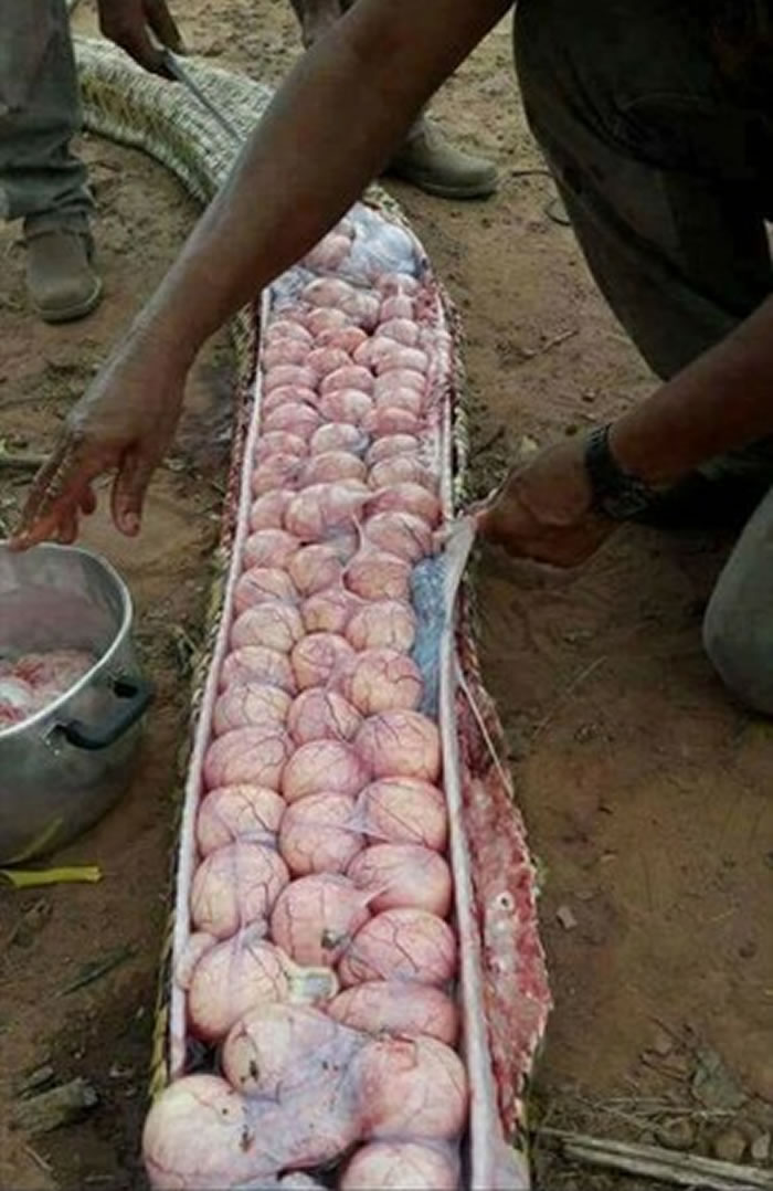 ǴׯͱΪ͵Լ ɱʸȴֻǻ