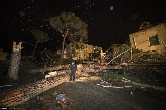 ��������Ű������׶���������С��