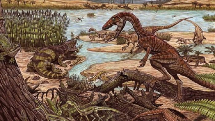 �����������صĿ�����̬����Ͻ�ʾ�������ȵĽ���ѧ����ʳϰ��