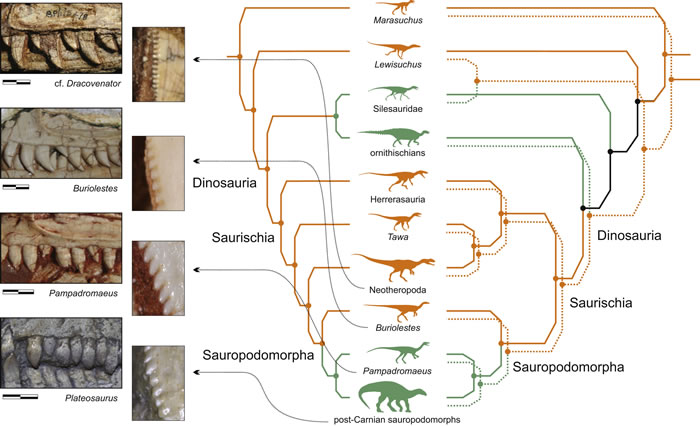 �����������صĿ�����̬����Ͻ�ʾ�������ȵĽ���ѧ����ʳϰ��