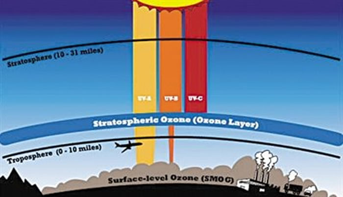 ƽ�����еĳ������赲�к�������䵽�������棬٤�����߱������ĳ����㣬�������߷���ͨ����
