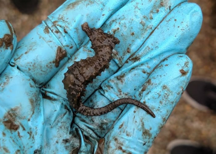 ����ŦԼһȺѧ���ڲ�³���ֹ�԰�����ֳ���ɼ���������6��С����