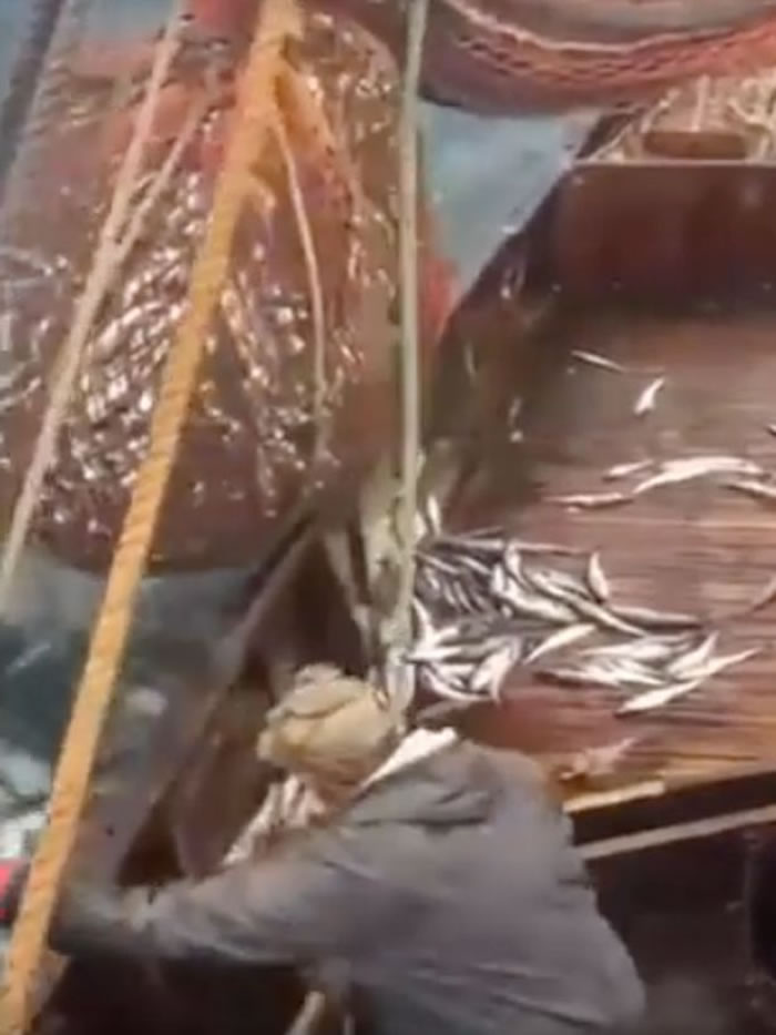 ����˹�������������Ⲷ��һֻ��ʨ